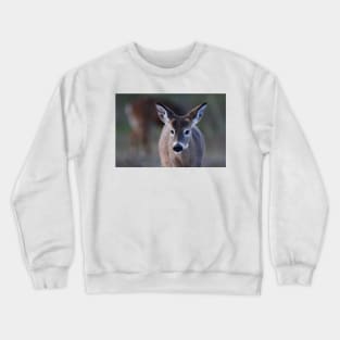 Pretty doe - White-tailed Deer Crewneck Sweatshirt